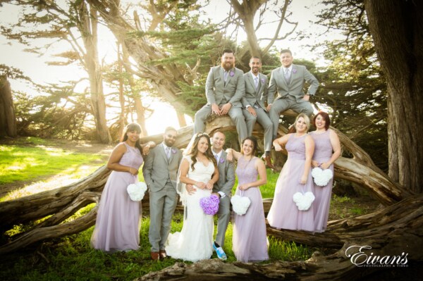 170325-san-francisco-wedding-photos-54