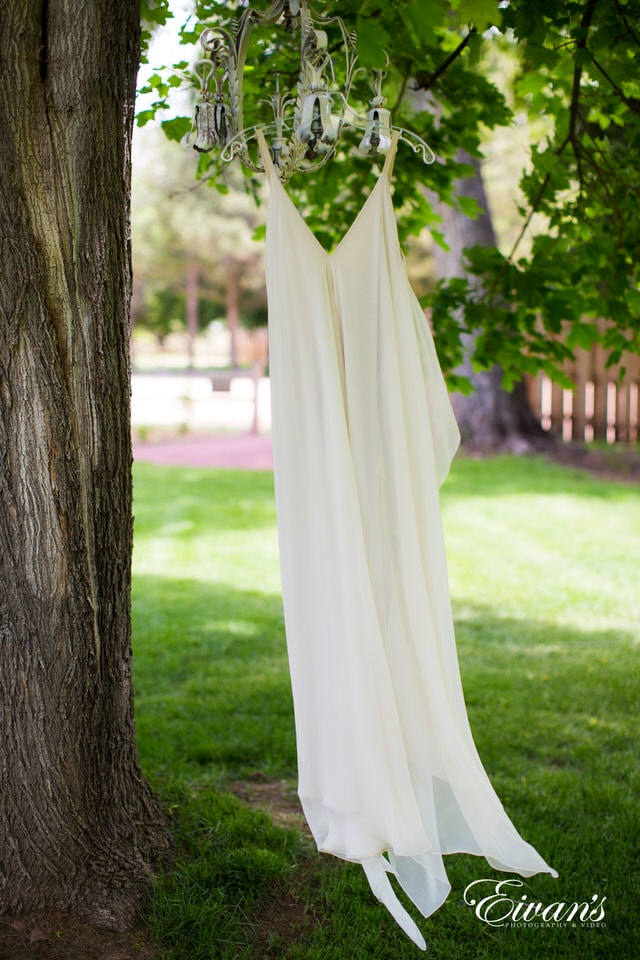 white textile hanged on brown tree trunk
