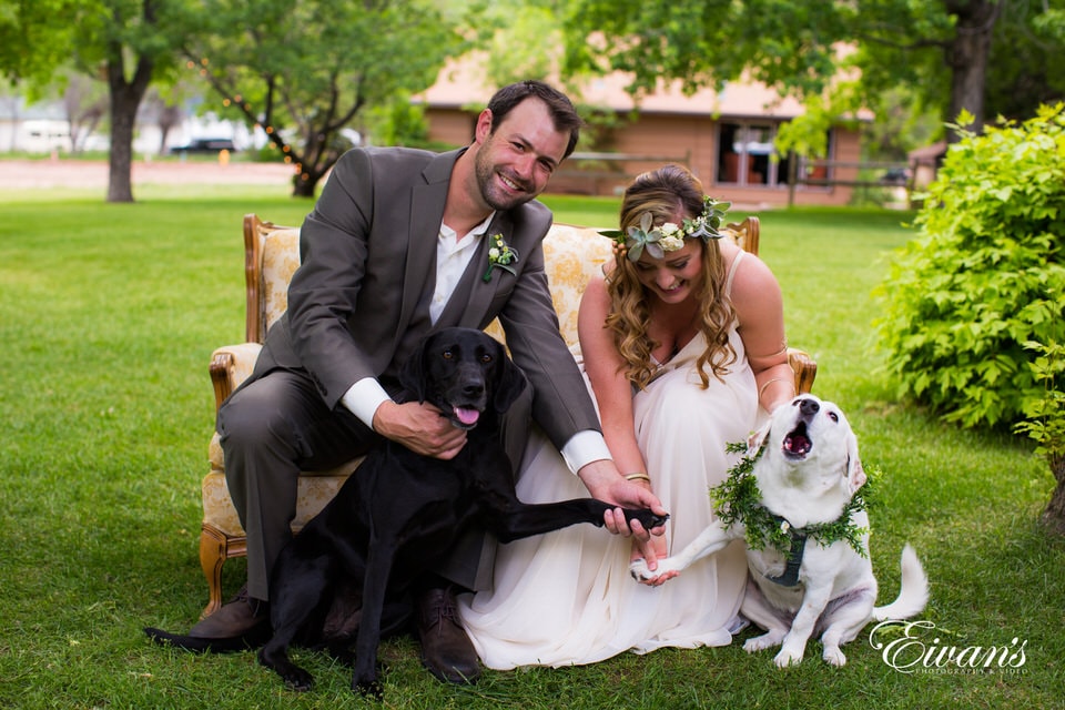 man in black suit jacket holding black and white short coated dog