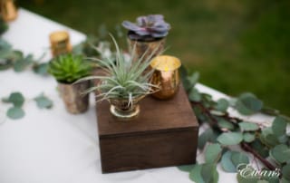 purple flower in brown wooden box