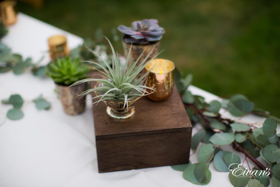 purple flower in brown wooden box