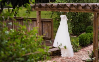 Pearly white wedding dress contrasting the bright greens and natural wood.