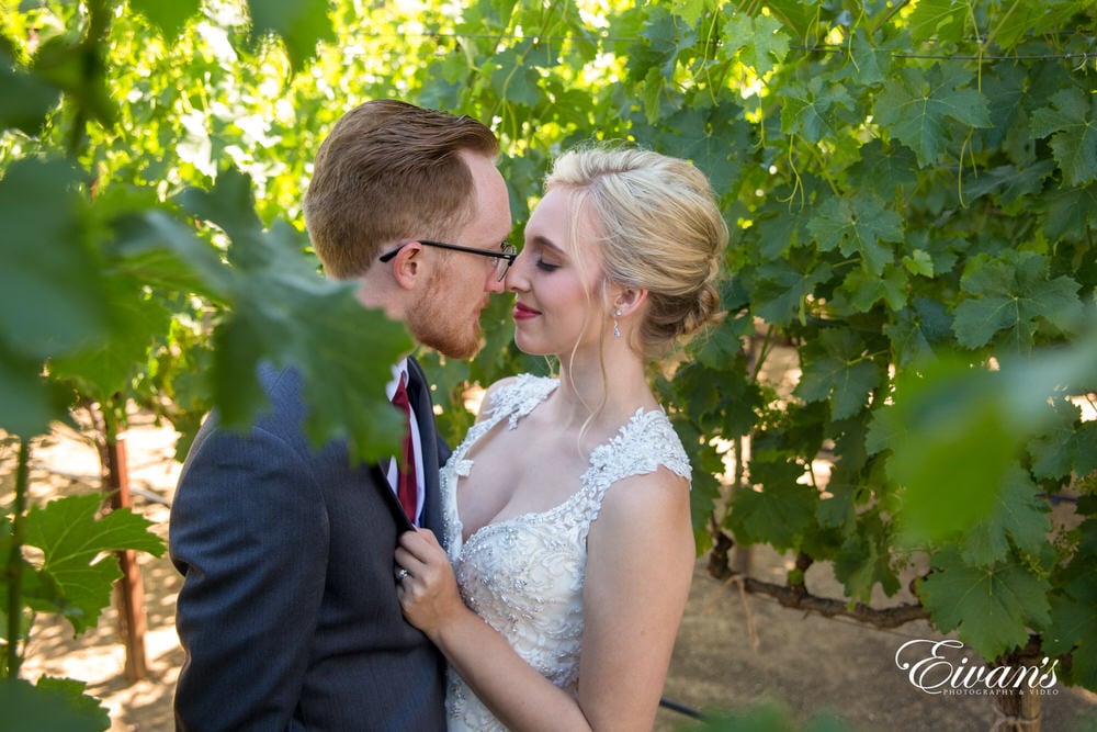 Gazing into one another's eyes while standing in the vineyard that only helps encompass their love and time.