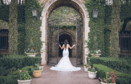 Wedding Photographer Phoenix