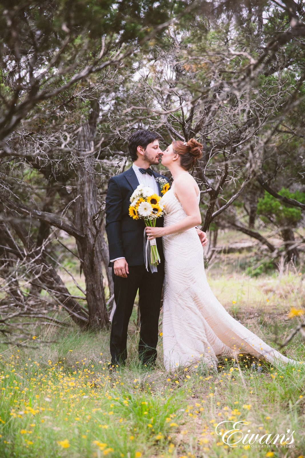 man and woman kissing on forest during daytime