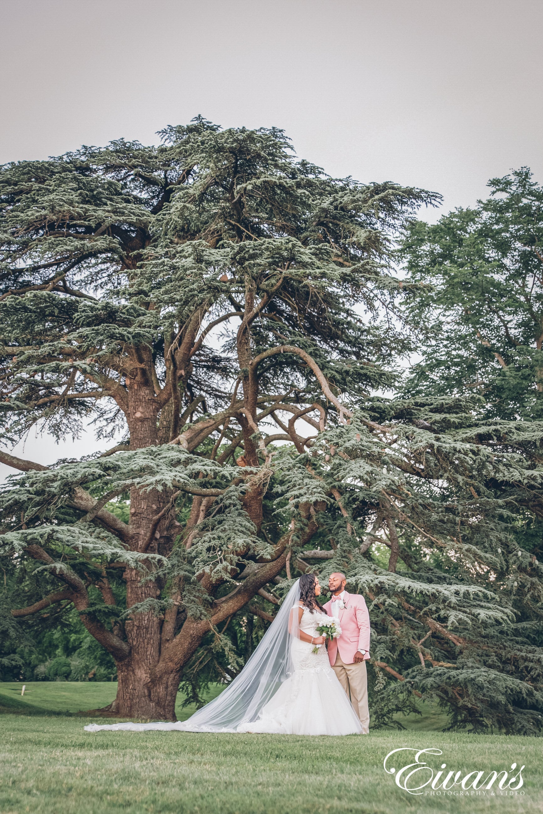 woman in white dress standing on tree branch during daytime