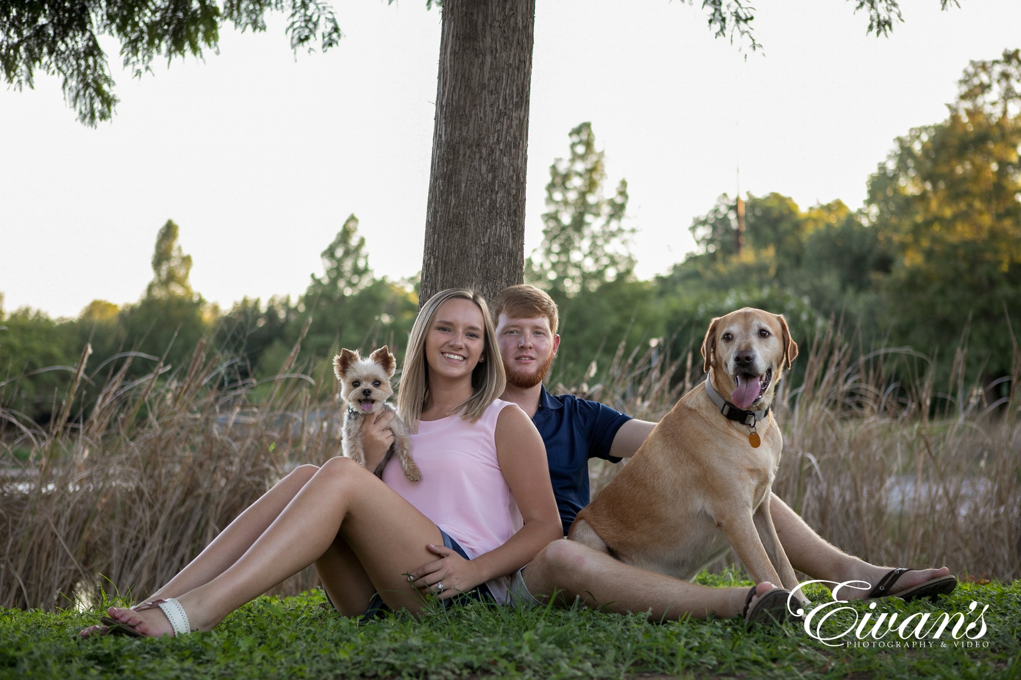 Image of a man and woman sitting on grass with their dogs