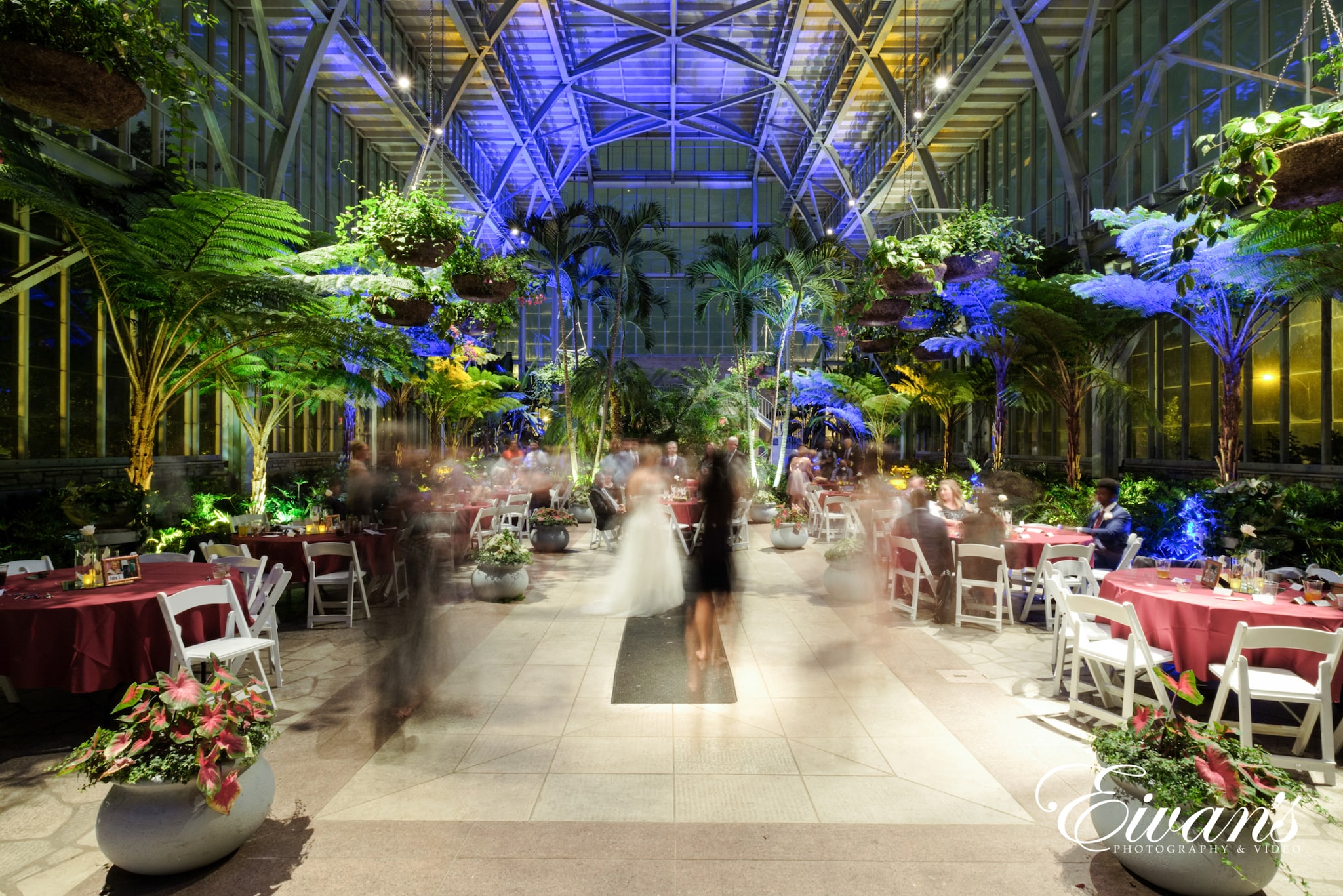 image of an indoor garden wedding venue