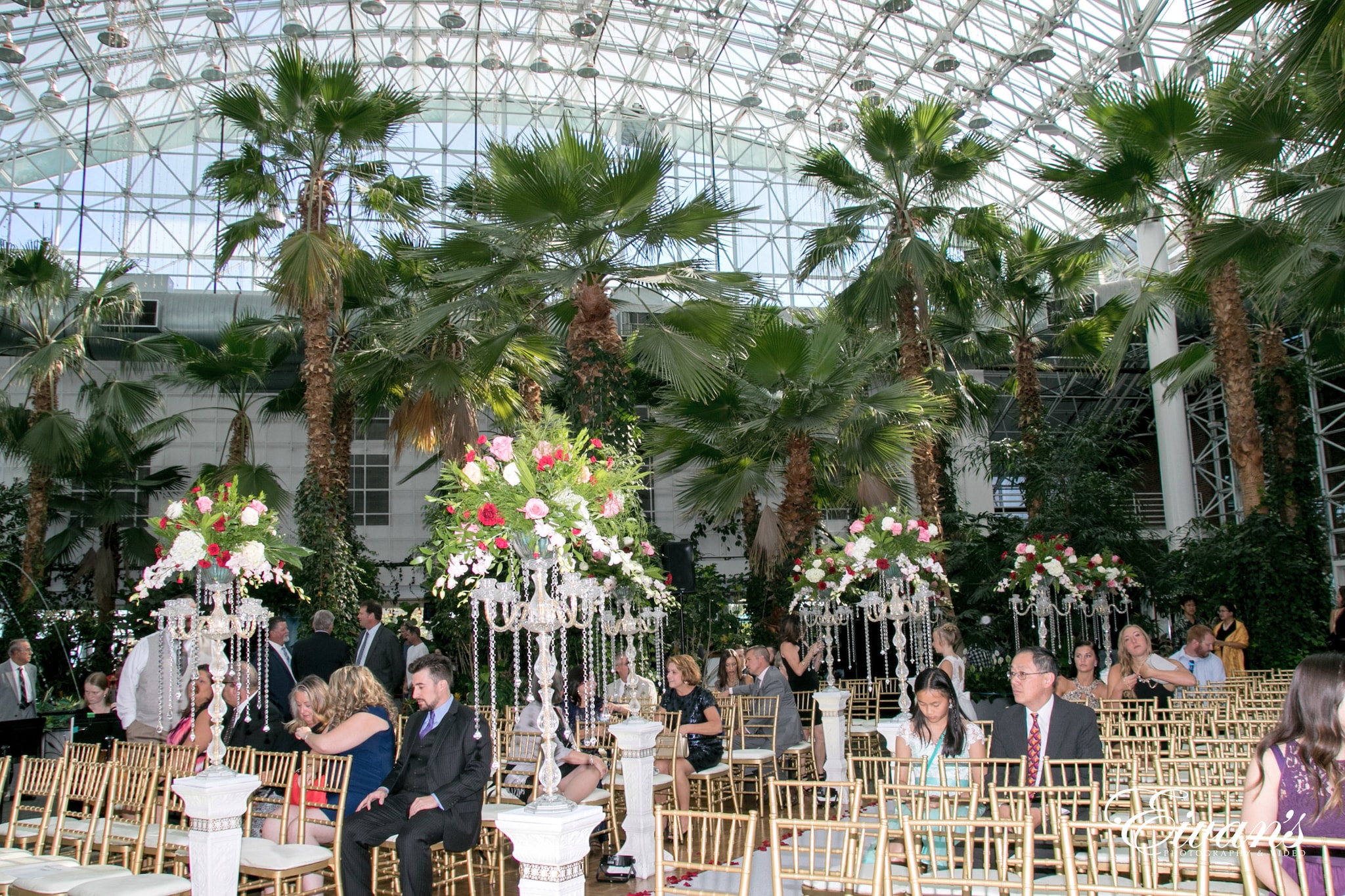 Crystal Gardens 62 Crystal Gardens 62