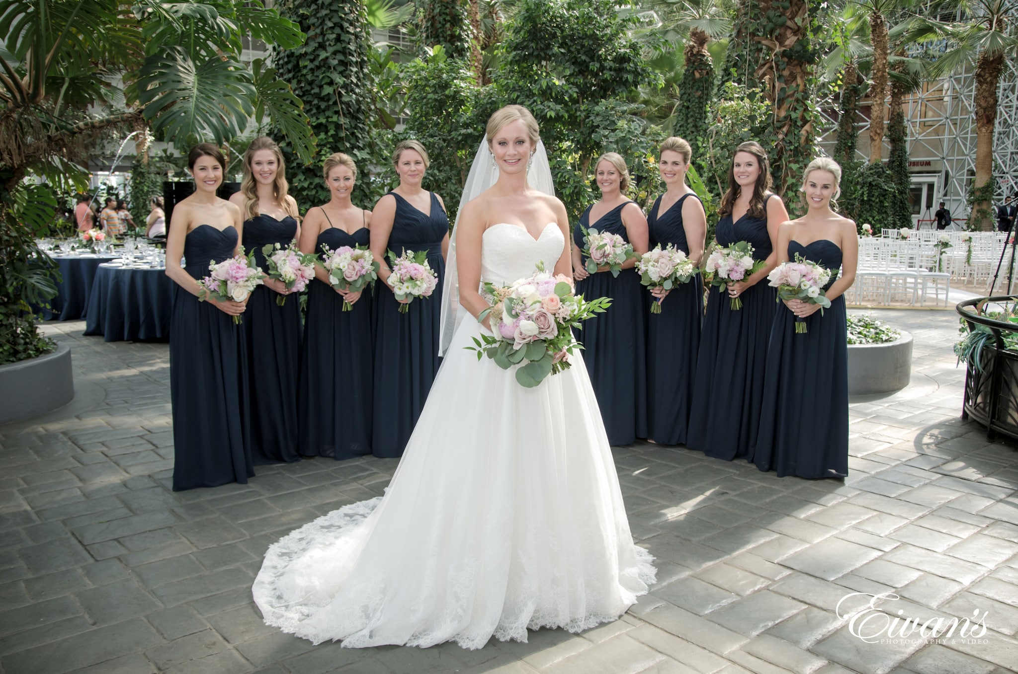 Crystal Gardens 64 Crystal Gardens 64