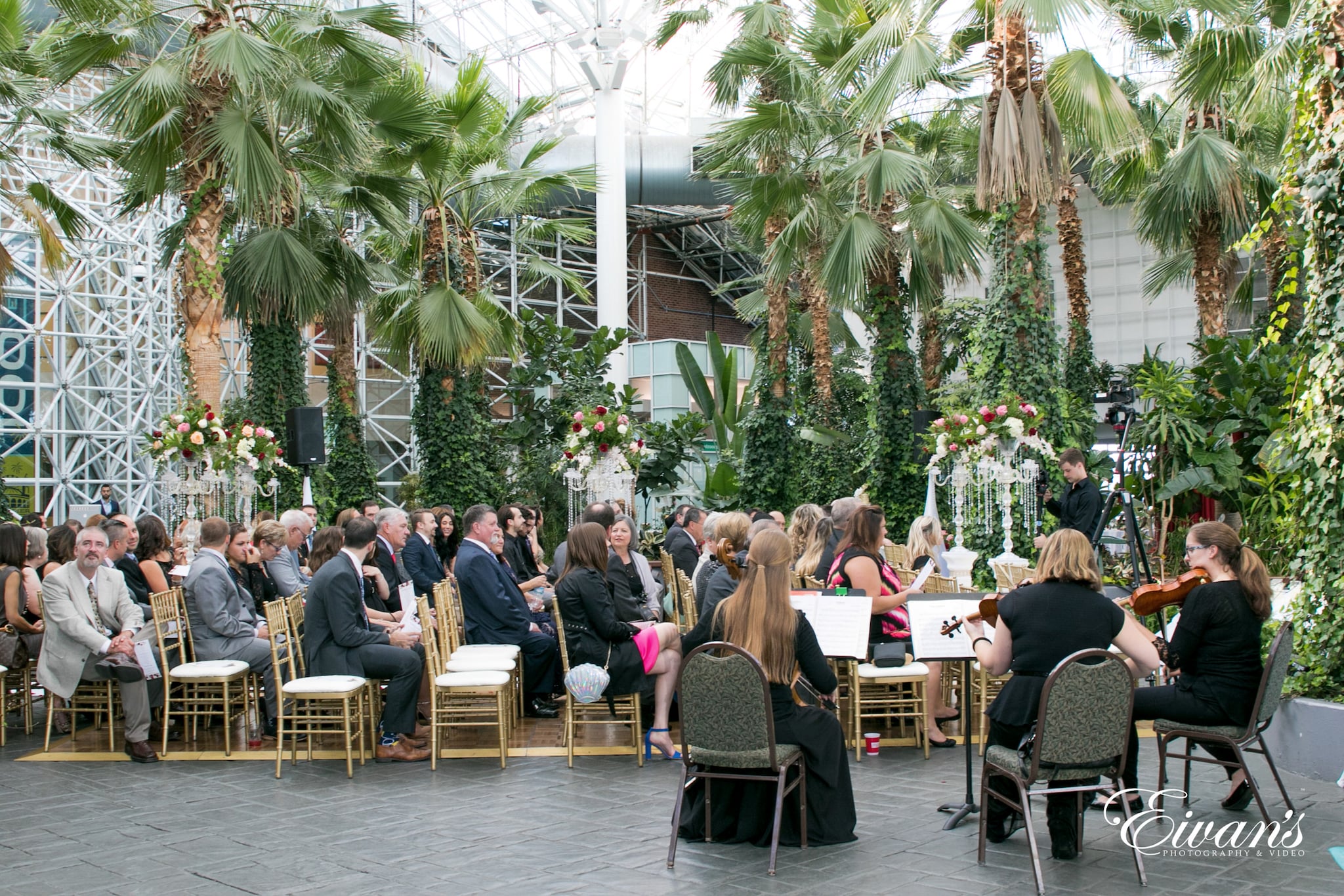 Crystal Gardens 84 Crystal Gardens 84