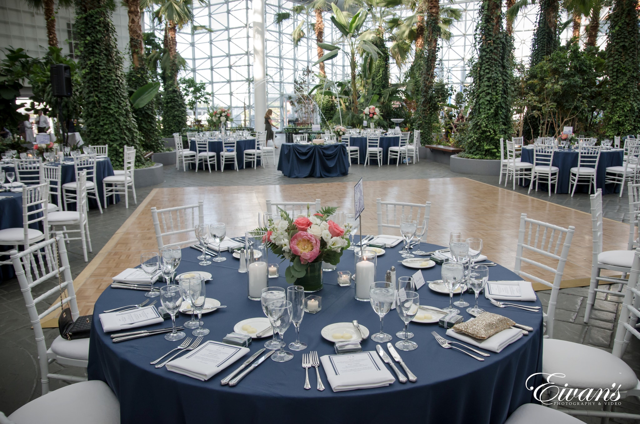 Crystal Gardens 85 Crystal Gardens 85