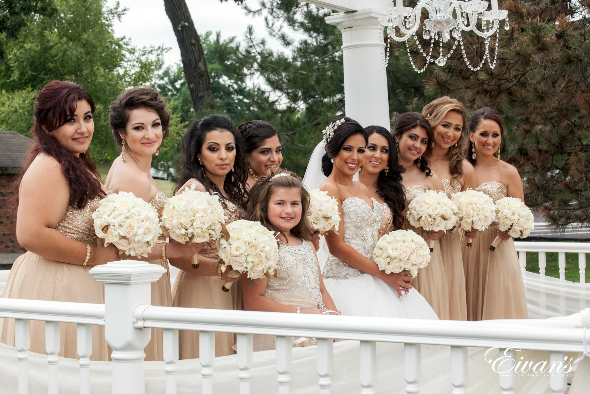 Crystal Tree 101 Crystal Tree 101