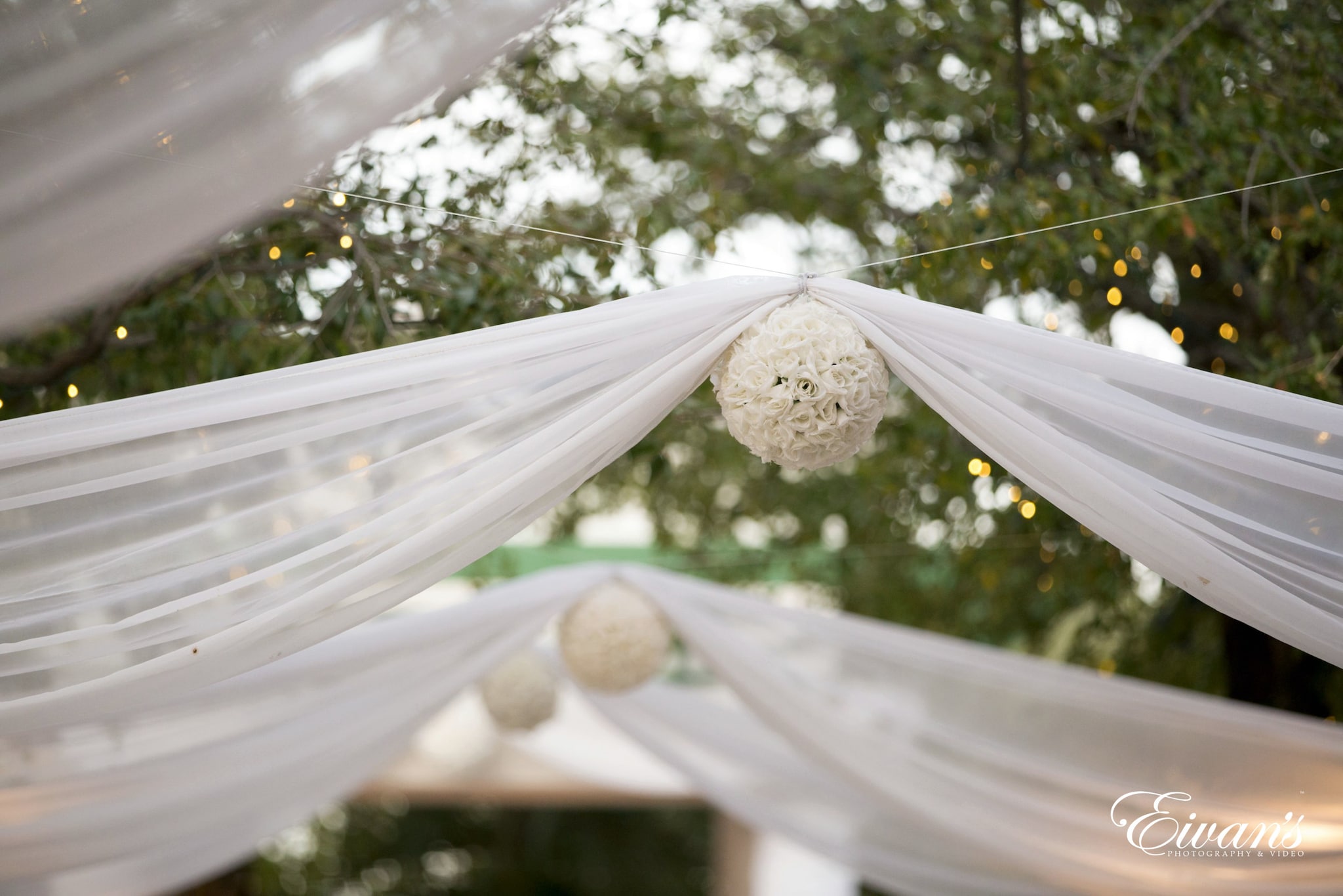 white floral mesh textile on green grass field during daytime