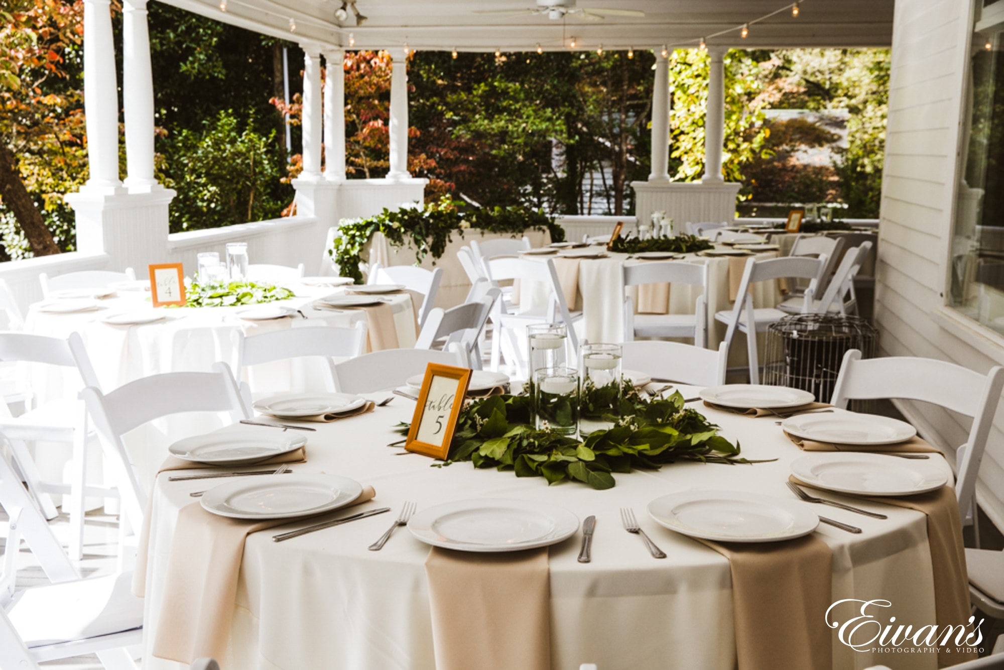 green plant on white table cloth