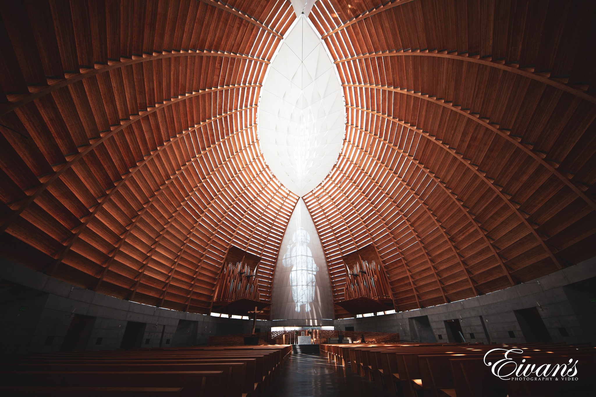 brown and white theater with lights