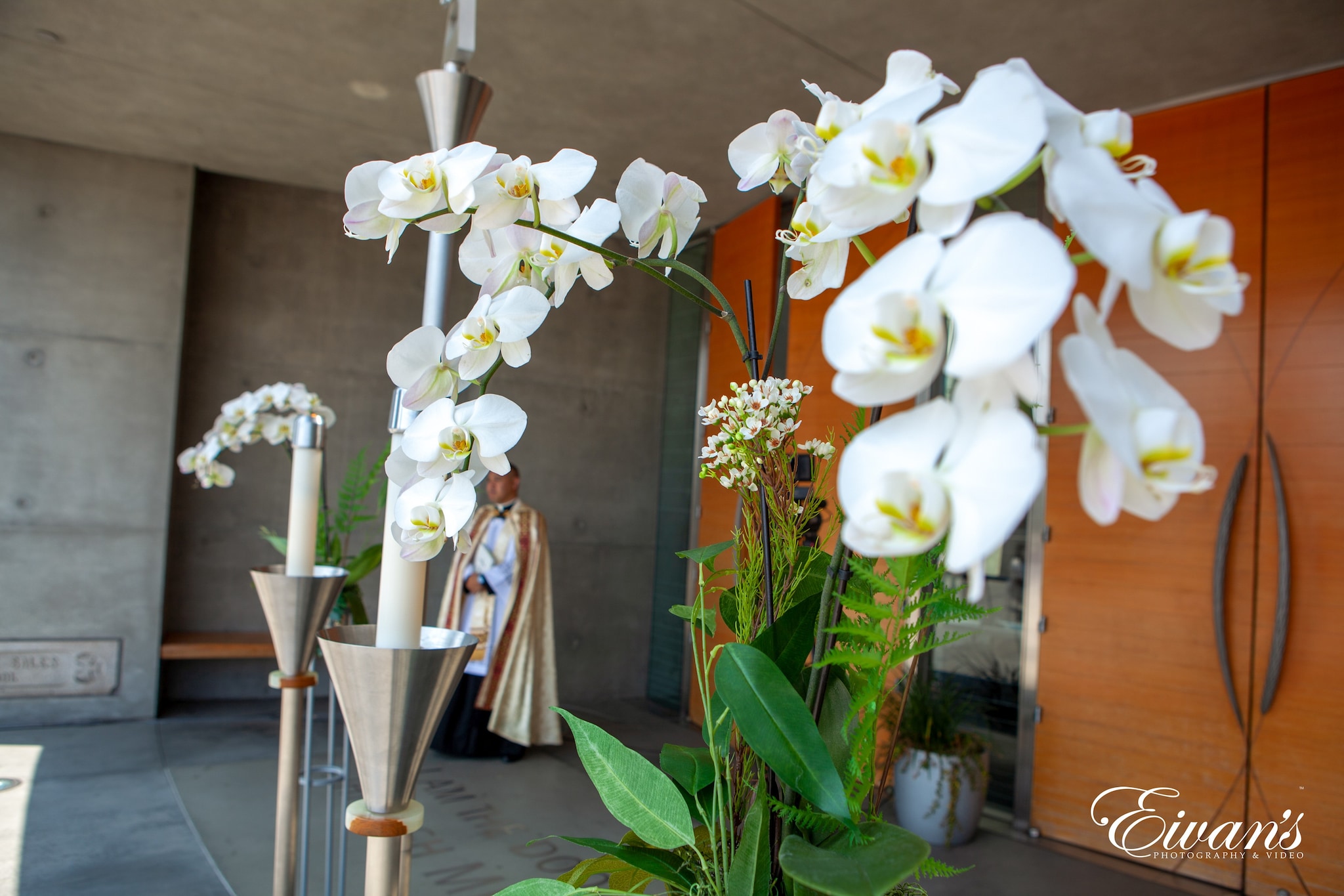 white moth orchids in vase
