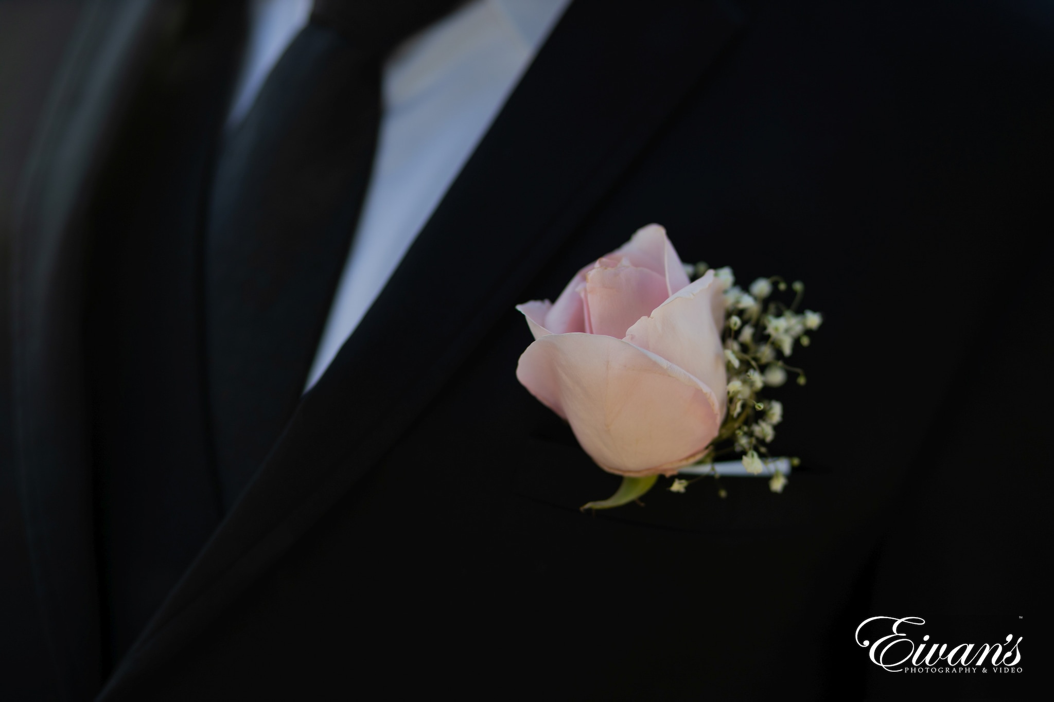 pink rose in black suit jacket