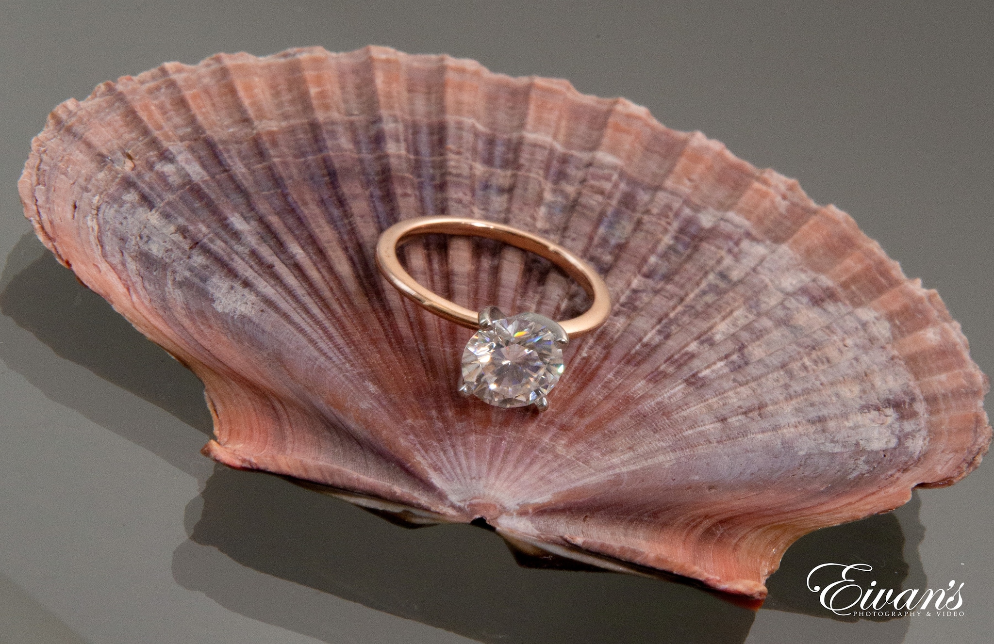 silver diamond ring on pink and white seashell