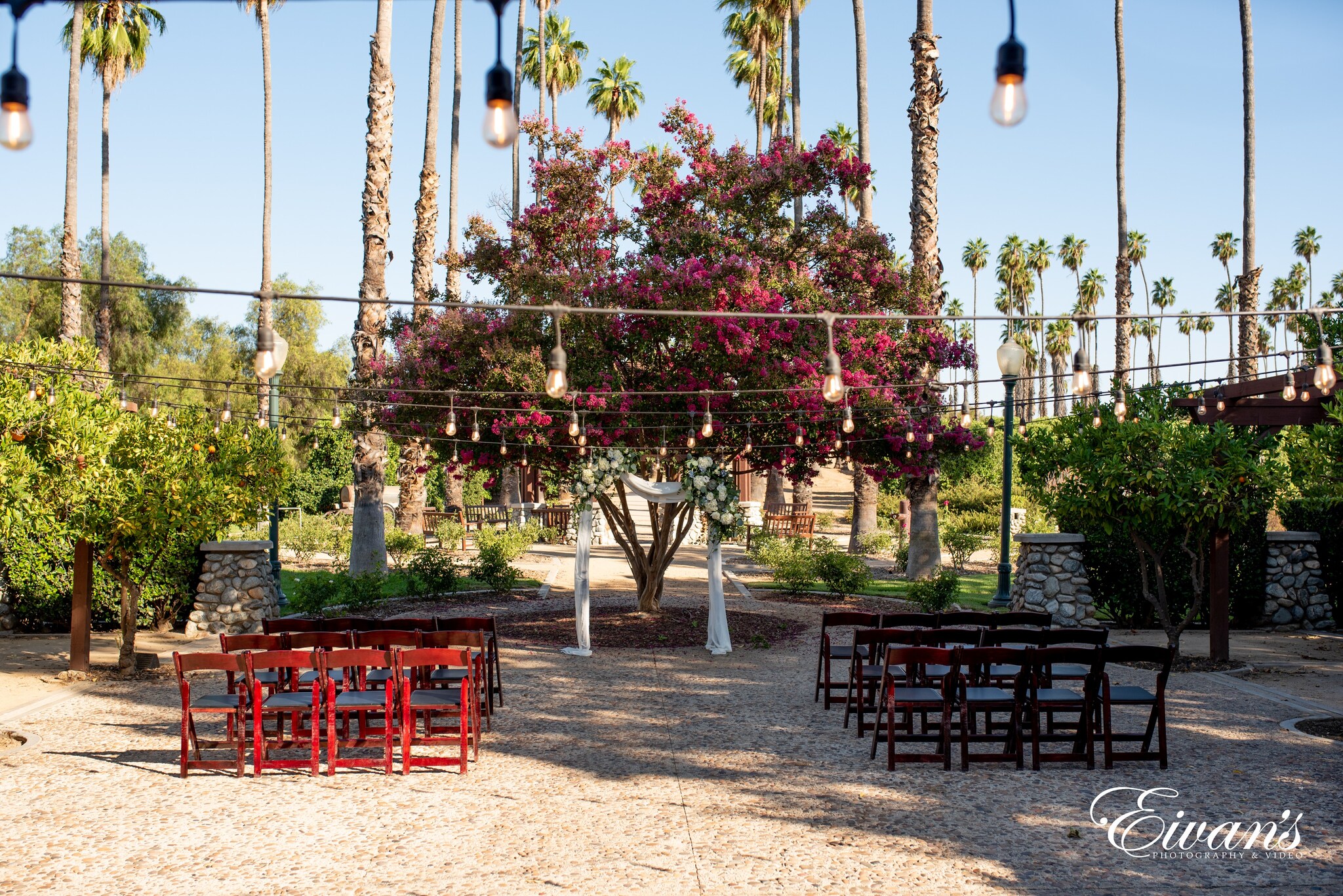 red wooden chairs near green trees during daytime