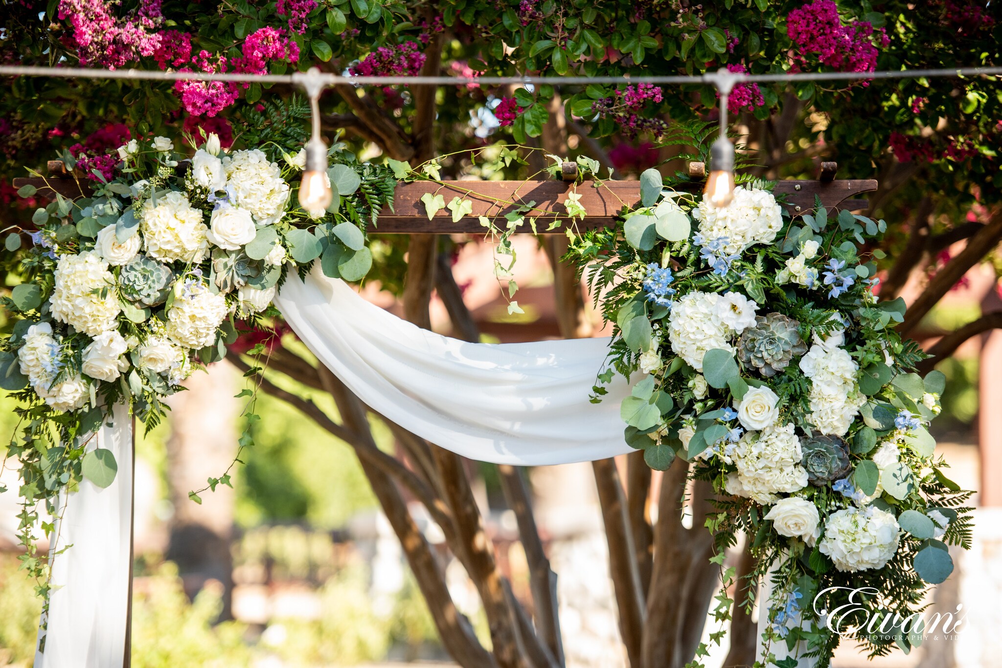 white and purple flowers