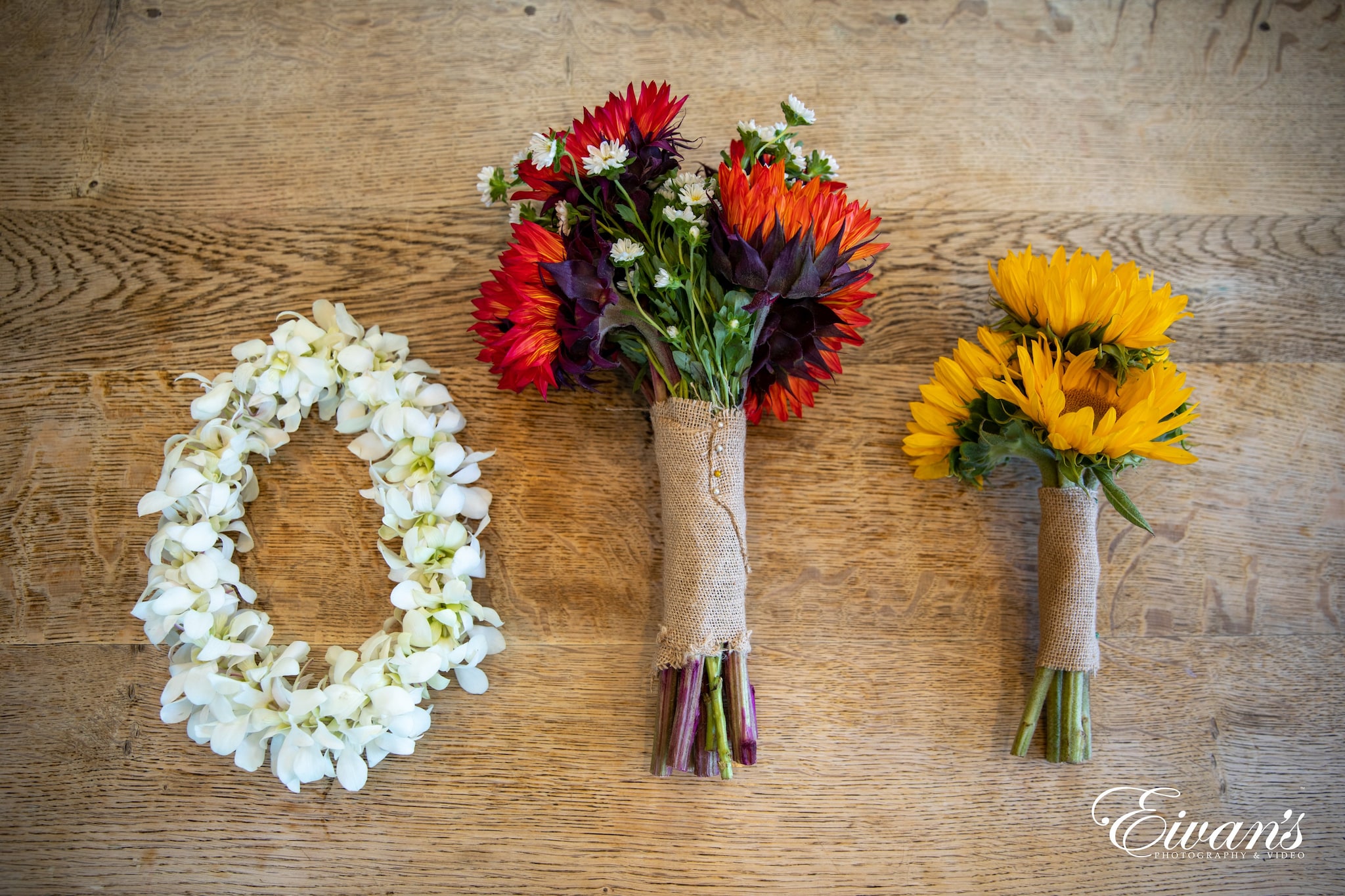 Featured Lexi Jeffery Sanfrancisco Wedding 012