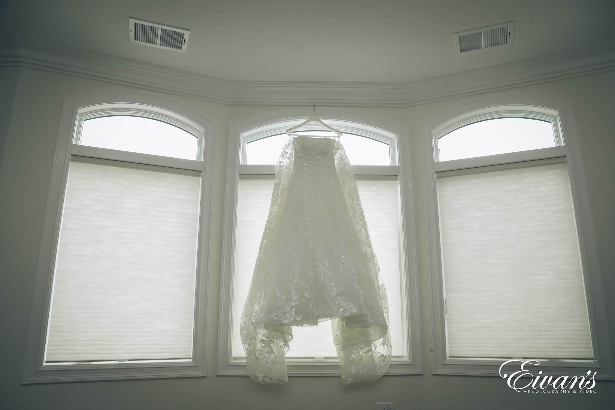 Wedding & Portrait Photography