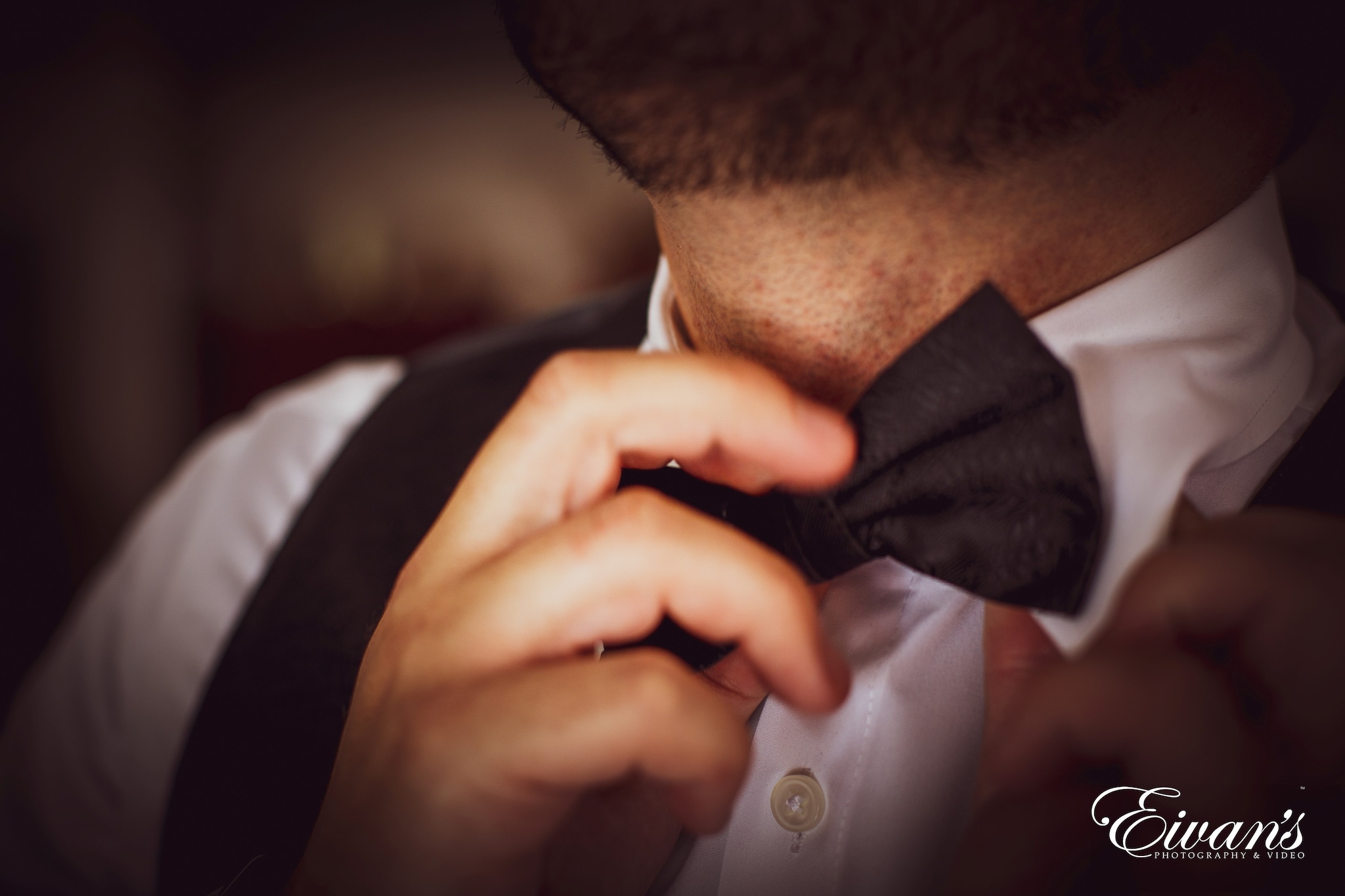 Copyright Eivan’s Photo, Inc. Copyright Eivan's Photo, Inc.