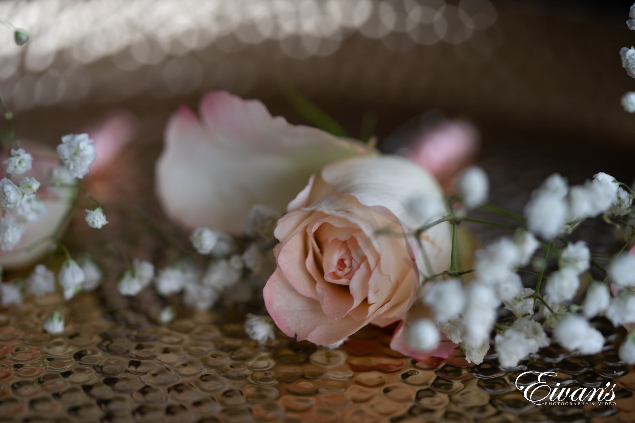 Featured Sheetal Timothy Chicago Wedding 016 Featured Sheetal Timothy Chicago Wedding 016