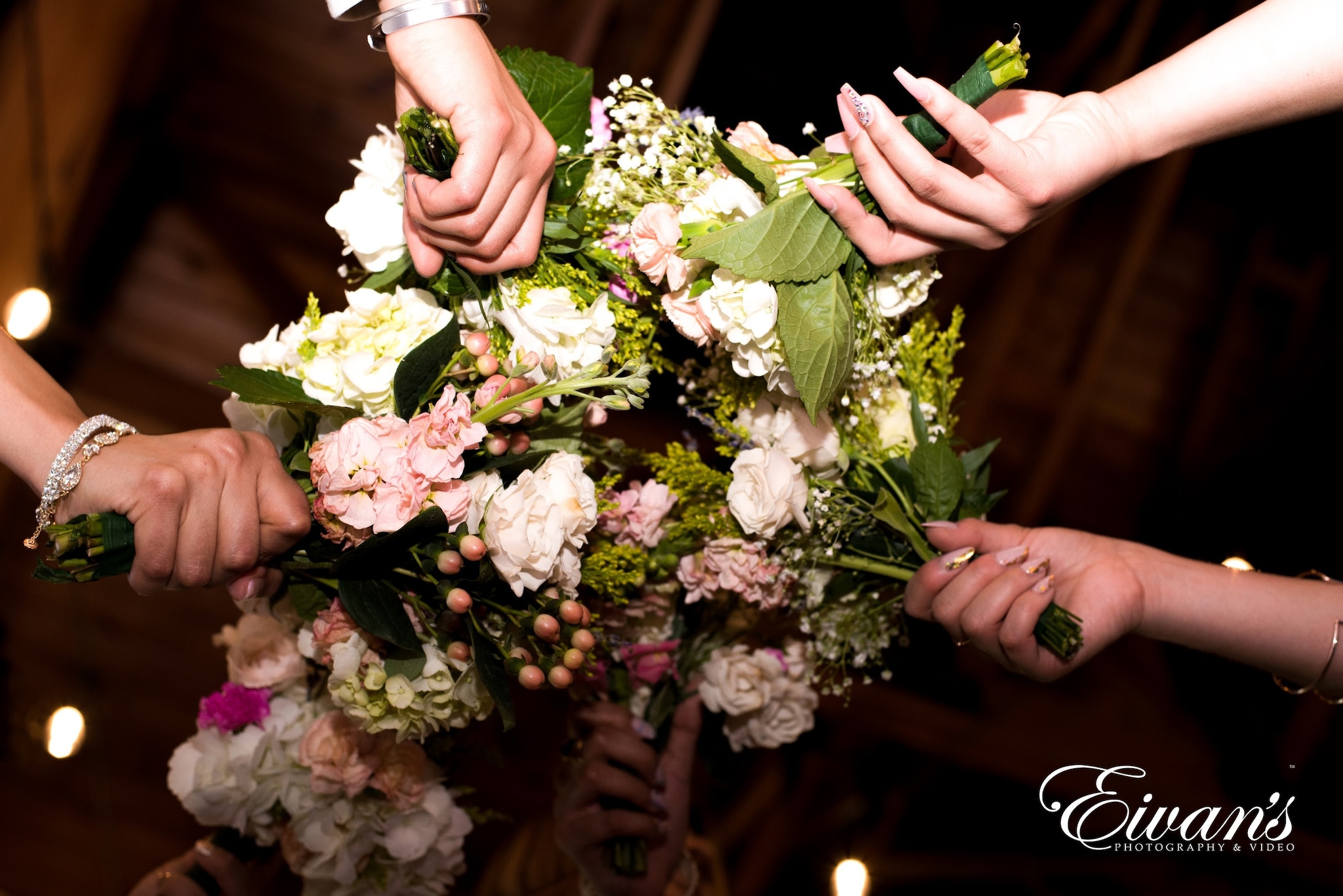 Wedding & Portrait Photography Wedding & Portrait Photography