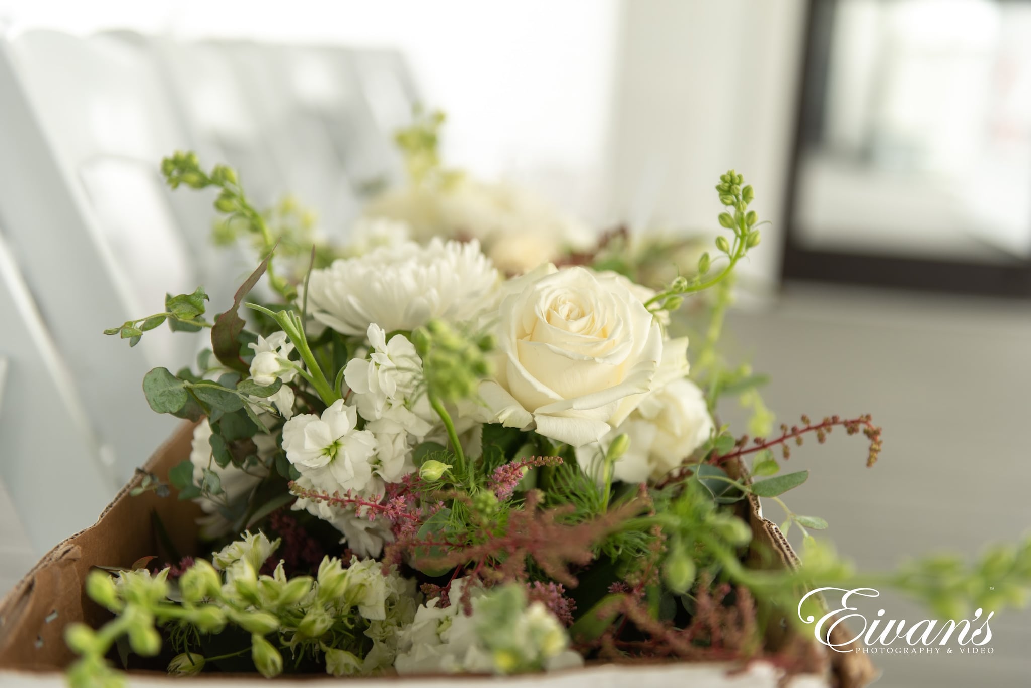 Wedding & Portrait Photography Wedding & Portrait Photography