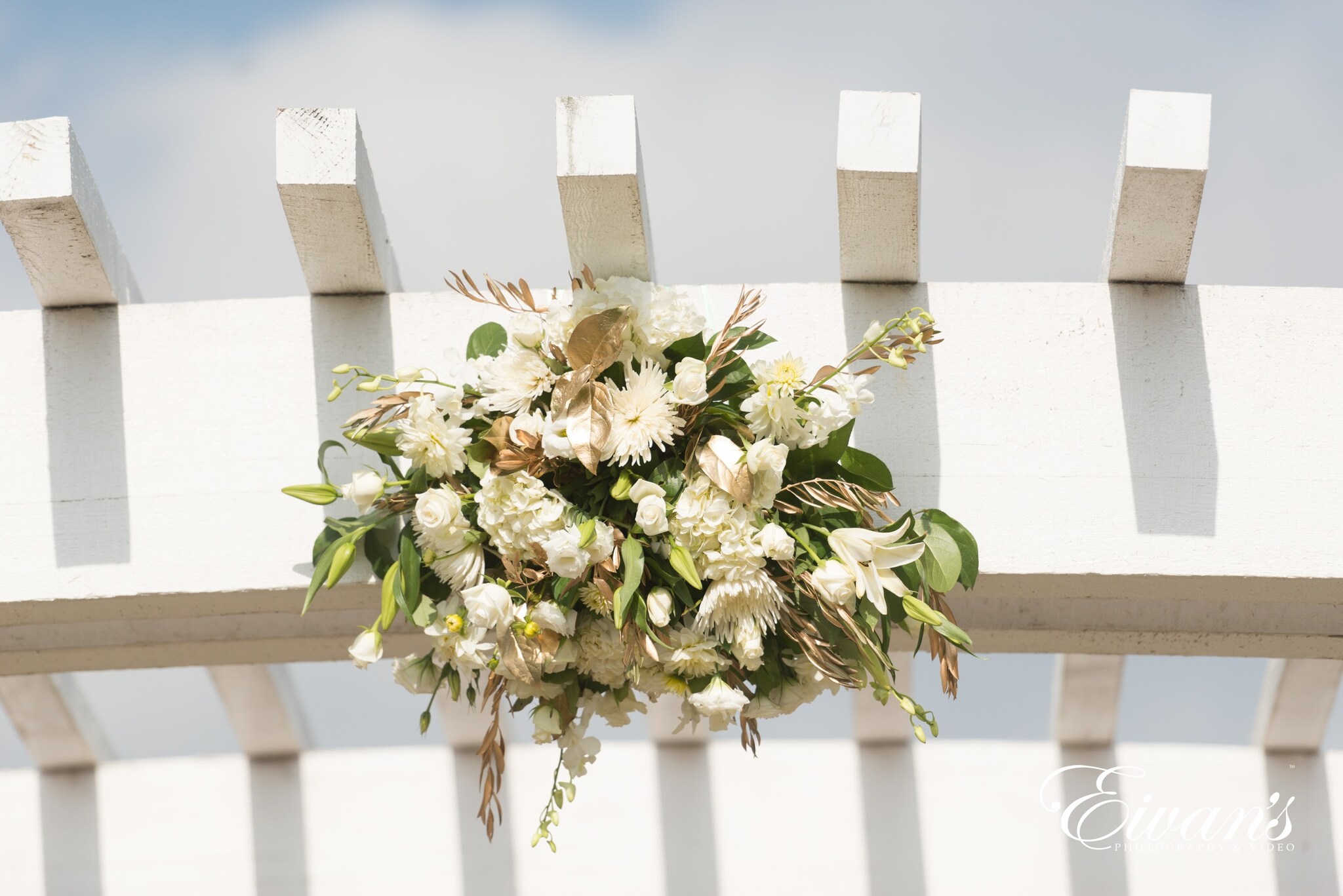 Wedding/engagement Photography