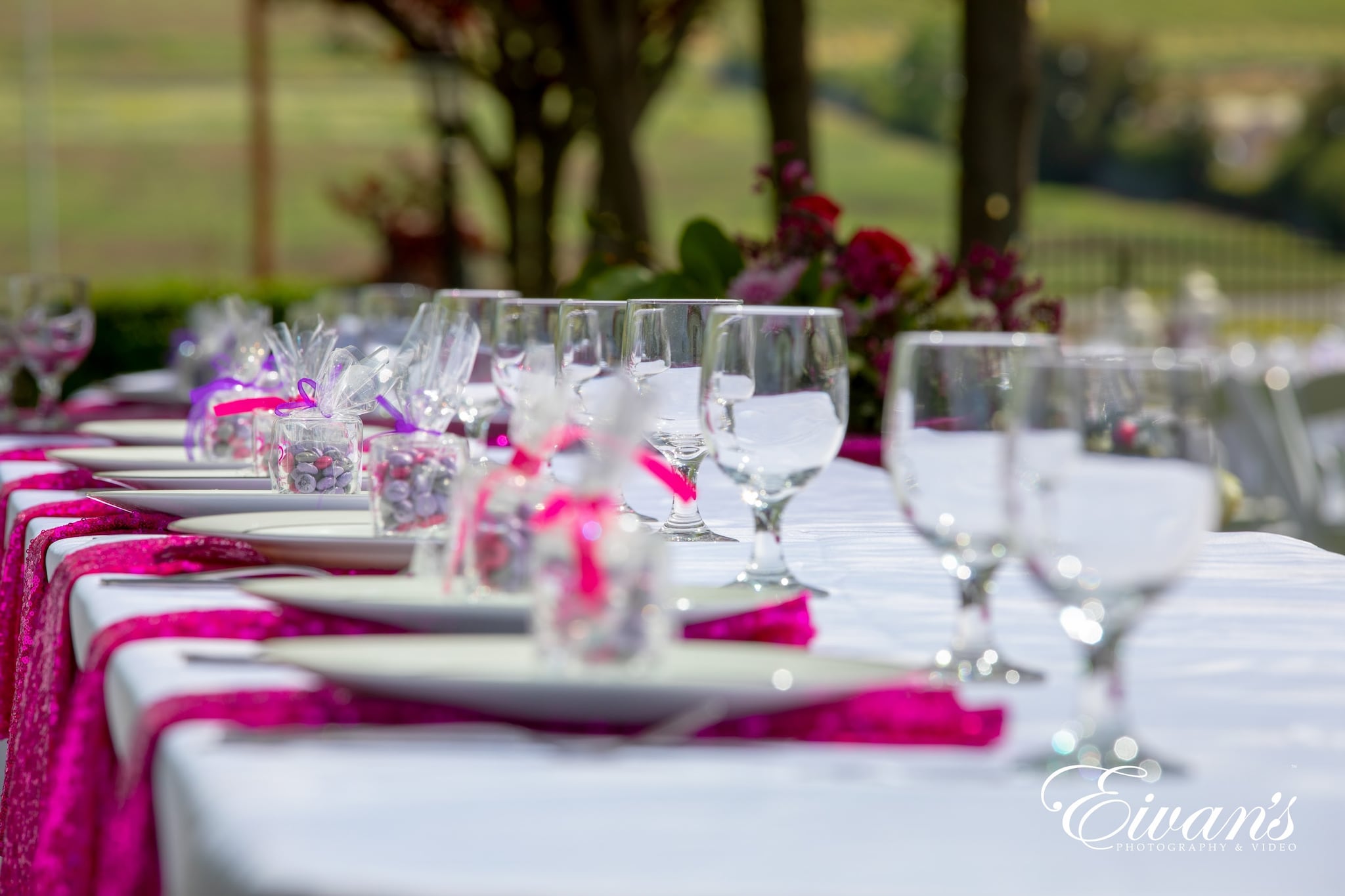 Wedding & Portrait Photography