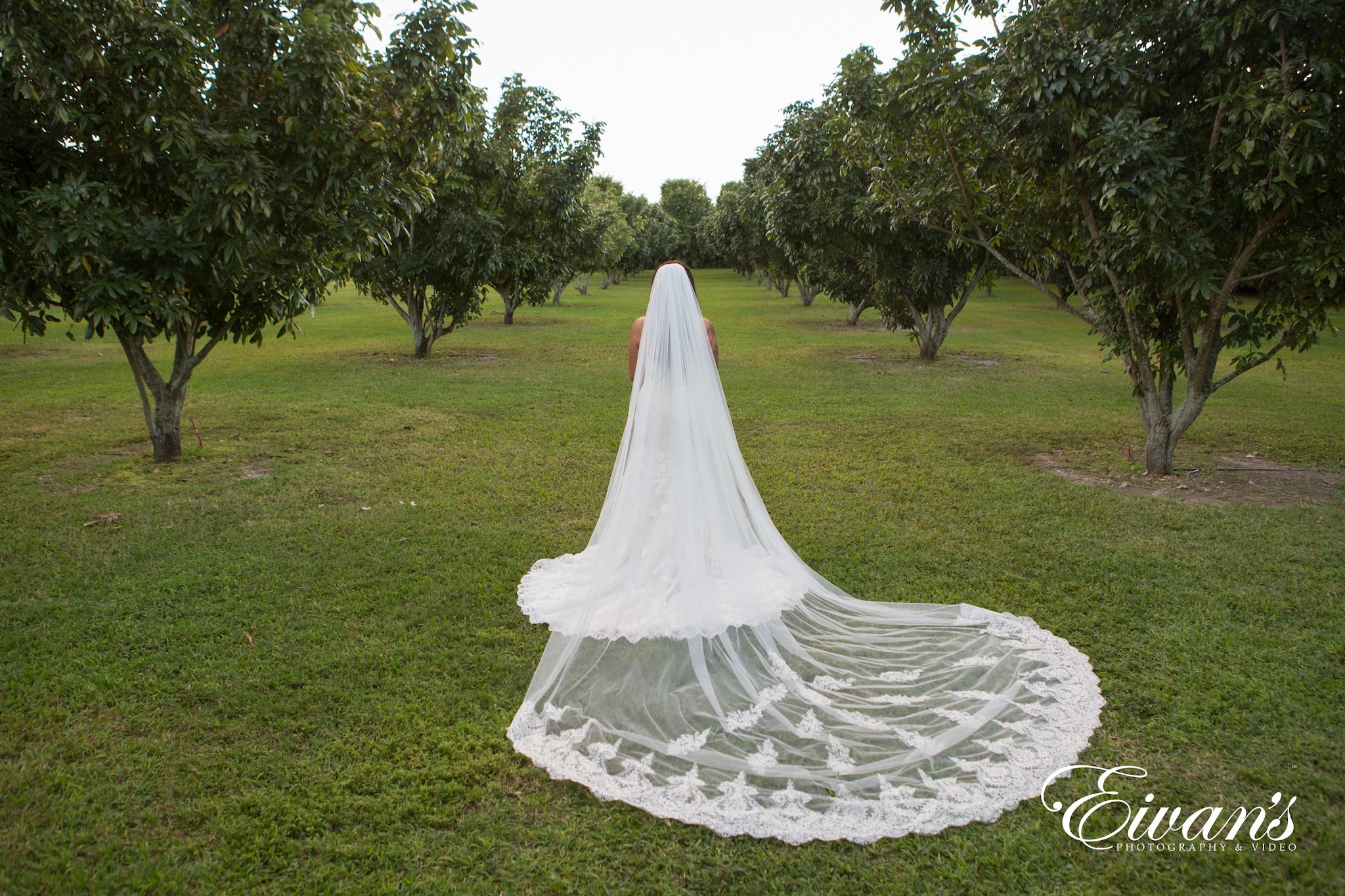 Wedding Silhouette 016