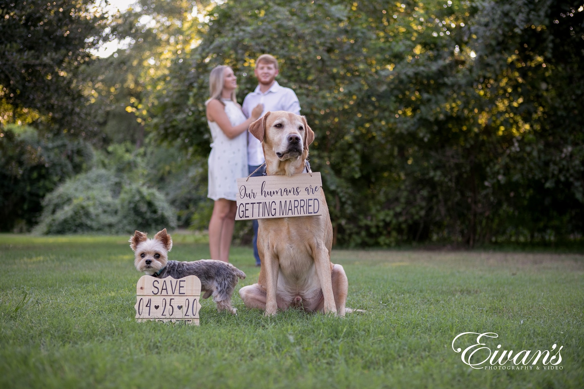 Engagement Shoot Props 012