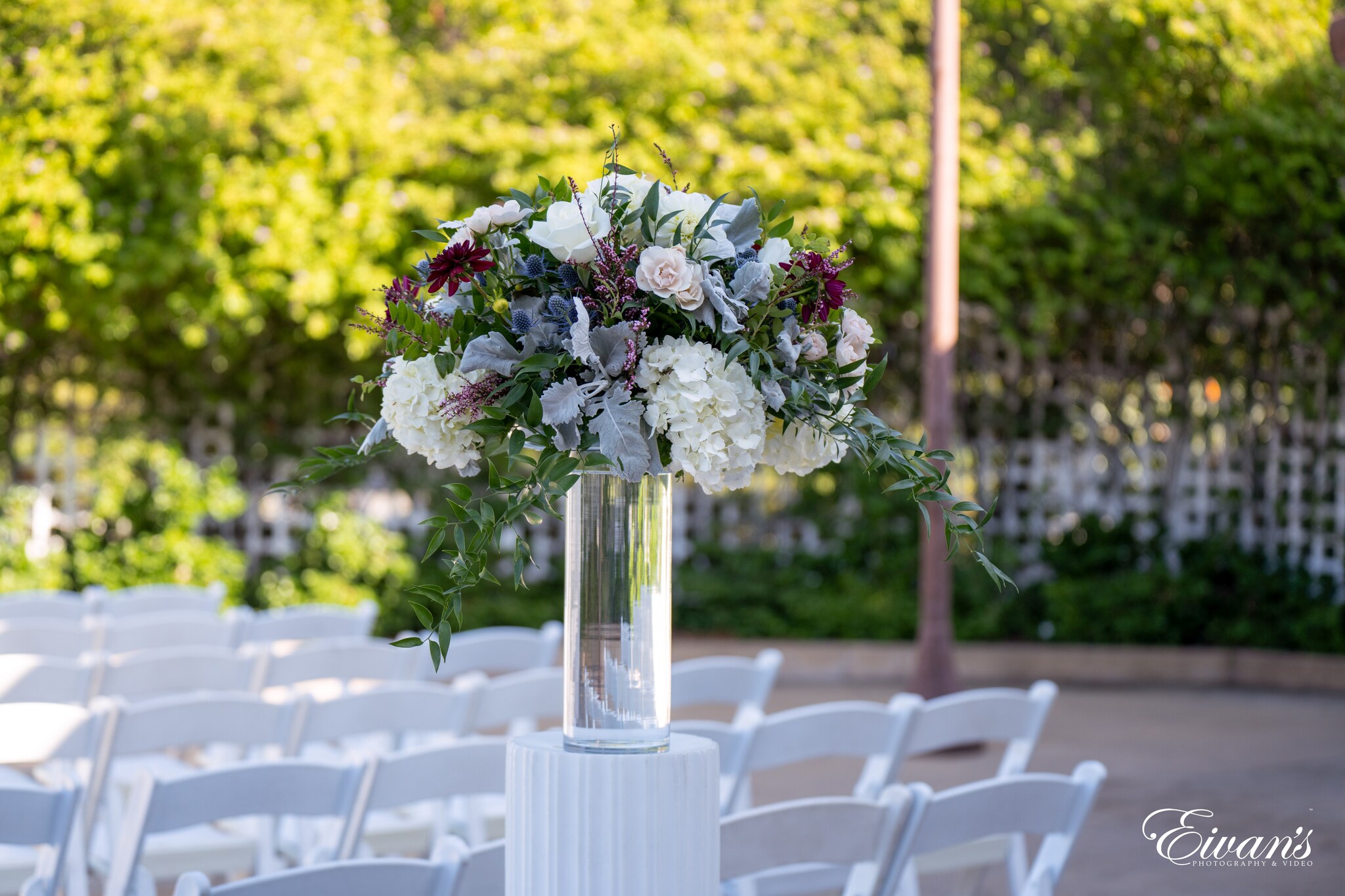 Copyright Eivan’s Photo, Inc.