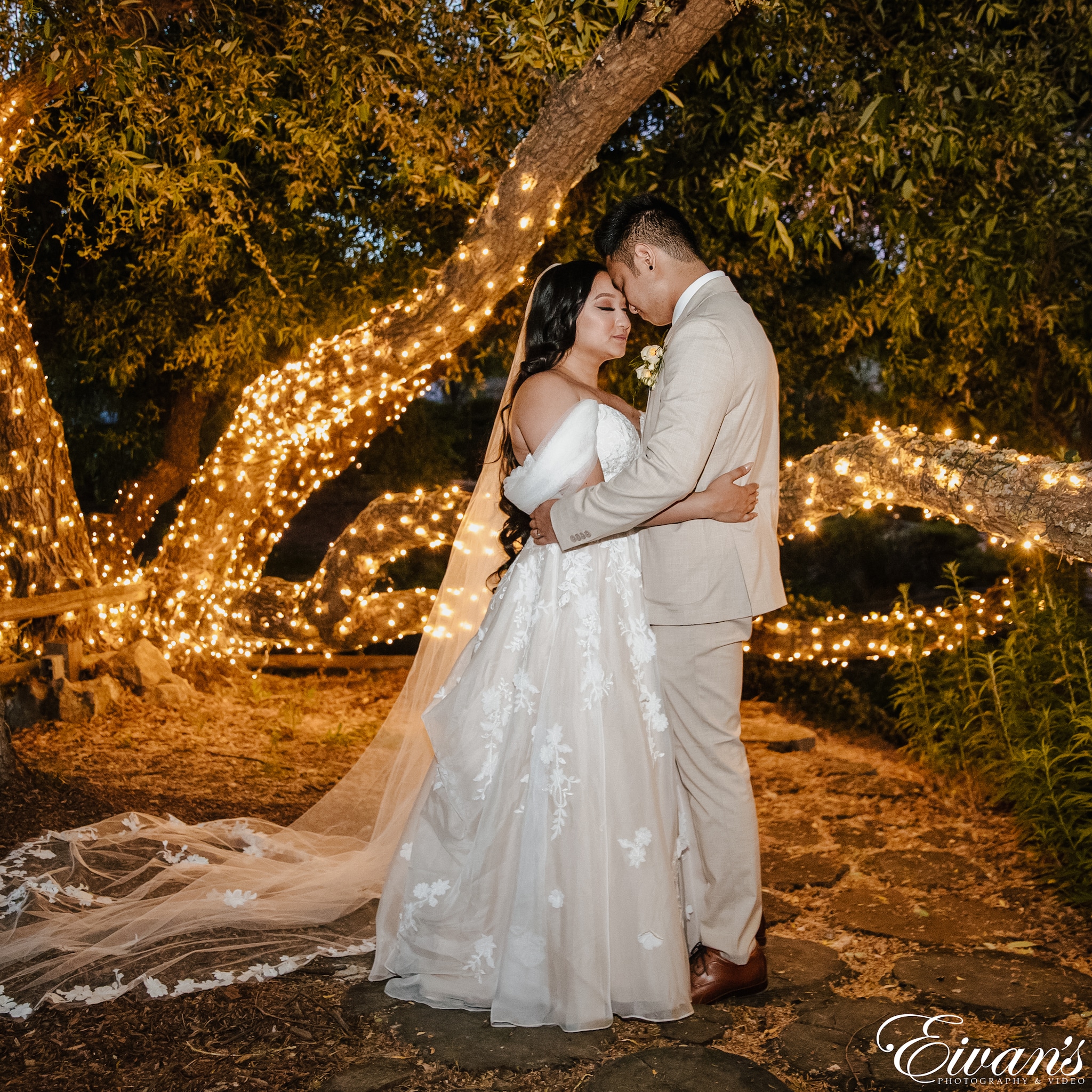 Eivans Inc Eivans Inc